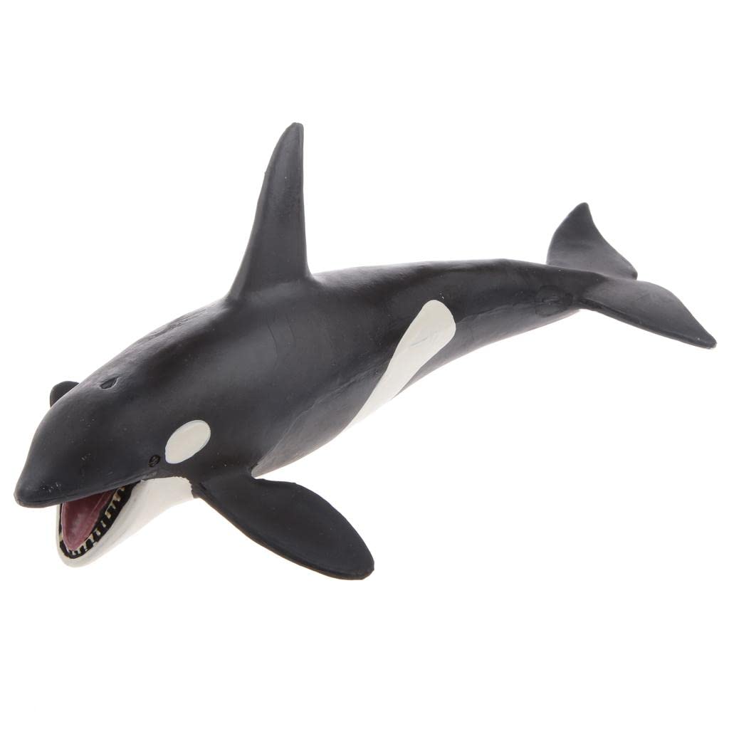 MYADDICTION Kids Story Telling Animal Figure Showcase Display Model Educational Toy - Killer Whale-image-27