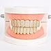 Gold Silver Finish Iced Out Diamond Grills for Women Men, Hip Hop Fashion Street Accessories, Cosplay Extra Molding Bars Costume(Lower teeth)
