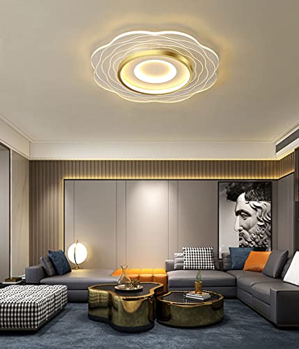 LED moderne plafond éclairage métal salon avec télécommande