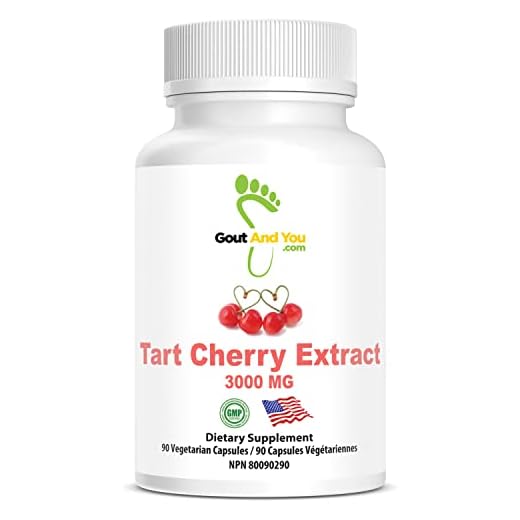 Gout and You Tart Cherry Extract | 3000 mg Per Serving | 90 Vegetarian Capsules | Gluten-Free