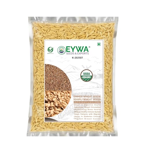 Image of Organic Khapli Wheat Grains Seeds (5 Kgs) | Khapli Gehu Ka Seeds | For Farming, Sowing & Agriculture Use | Produce of India | 100% Natural & Non-GMO | By Eywa