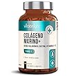 Comparativa suplementos de colágeno en 2025: las mejores opciones del mercado