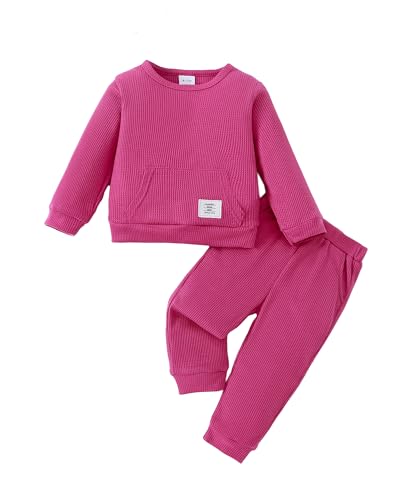 Image of Weebaby Toddler Girl Clothes Infant Girl Sweatsuit Baby Pant Set Outfits Fall Winter Clothing Little Clothes for Girl