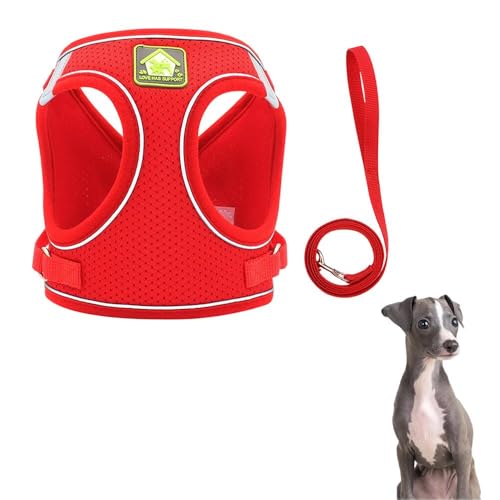犬用首輪 リード ハーネス パピー セット」の人気商品一覧 | 安い商品