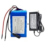 24V 20Ah 7S3P リチウム電池 Ebike バッテリー リチウムイオン電池パック 充電器とBMS付き 500W以下のモーターキット XT60プラグ付き