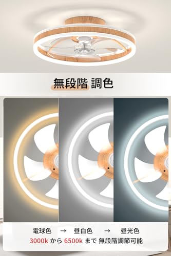 Coizabera シーリングファンライト の商品画像 3