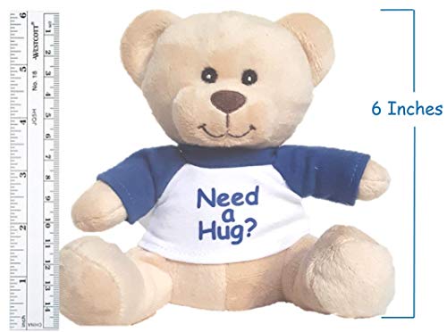 Soft And Cuddly 6 Inch Small Plush Comforting Stuffed Animal With T-Shirt (Need A Hug Teddy Bear) #TOP1