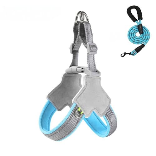 YYKSYDPT pn[lX ̍Aی yʂŒʋC fUC Ԕ ^ ^ ^ɍœK (u[ + [V, XL)