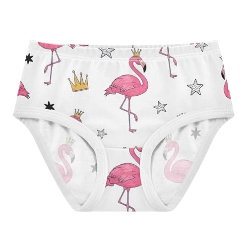 Cotton Toddler Underwear Floral Watercolor Pink Flamingos White Little Girl Panties Florals Briefs Girls Undies 2t