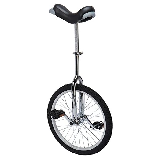 Fun 20 Inch Wheel Chrome Unicycle with Alloy Rim