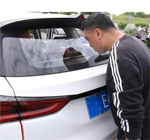 Cubierta de maletero retráctil para ocultar equipaje en Ford S-MAX 2