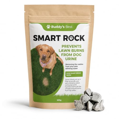 Buddys Best 200g Smart Rocks: Natural Pet Water Enhancer & Lawn Saver Mineral-Based Solution for Dogs Reduces Nitrates & Ammonia Supports Hydration & Healthy Green Grass