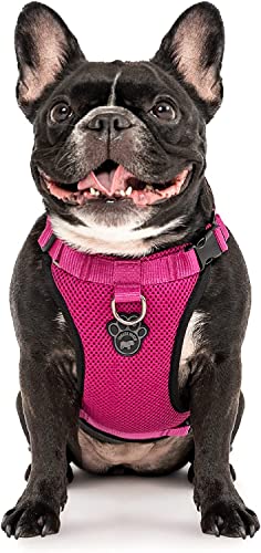 Canada Pooch Everything No Pull Dog Harness - Easy Walk Harness for Dogs with Breathable Mesh Exterior, Adjustable Dog Walking Harness Great for Dogs Pink/L
