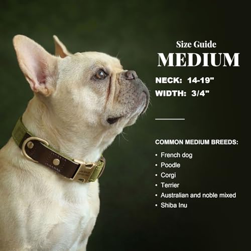 Image of Personalized Dog Collars, Quick Release Buckle, Olive Green,M
