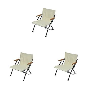 スノーピーク　ローチェア30 アイボリー スノーピーク snow peak ローチェア30 アイボリー LIMITED ITEM