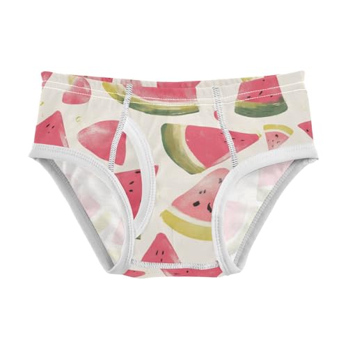 KLL Watermelon Pattern Toddler Boy Pure Cotton Briefs Underwear Cute Undies