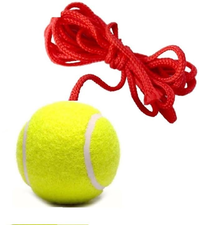 Cricket Bat Knocking/Hanging Ball/Bat Knocking Practice Cricket Training Ball (Standard, Pack of 1) RED-picture-18