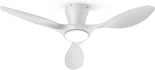 TALOYA Ceiling Fans with Lights,42 inch Modern Low Profile Ceiling