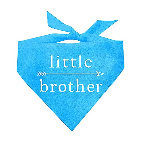 Little Brother with Arrow Dog Bandana (Turquoise, XS 39)