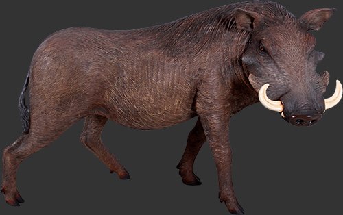 Amazon.co.jp: アニマルビッグフィギュアシリーズ【イノシシ（アフリカ