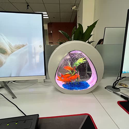 1 Gallon Aquarium Kit For Home Office Desktop With Led Lighting And Air Pump Quiet, Small Fish Bowls For Betta Fish Goldfish With Fish Tank Kit Plants Accessories Decorations Stones Glass Sand #TOP1