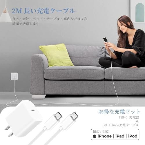 Cardill iPhone16 充電器 タイプc 充電器 type-c 20W PD 急速充電器 FEB-383GC1 の商品画像 5