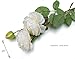 Final Sale! Large & Real Looking Artificial Silk Roses | Faux Flowers with Leaves | 8 Stems | Ivory White