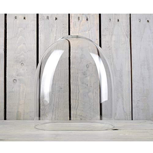 EMH - Campana de cristal ovalado (30 cm)