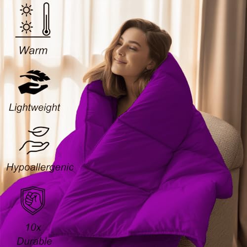 Image of Emperor Size Comforter Set - All Season Down Alternative Bedding Comforter Set - Quilted Duvet Insert with Corner Tabs - Box Stitched Blanket - Breathable, Soft - Purple