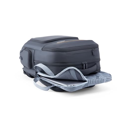 Image of American Tourister Segno 4.0 | 30 Ltrs | 3 Compartments | Bottle Pocket | Ergonomic Padded Back Panel & Shoulder Straps | Laptop Backpack | 1 Year International Warranty | Black