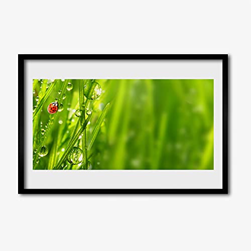 Affiche avec cadre 60x40 cm herbe nature anti-gondolement cadre MDF salon chambre