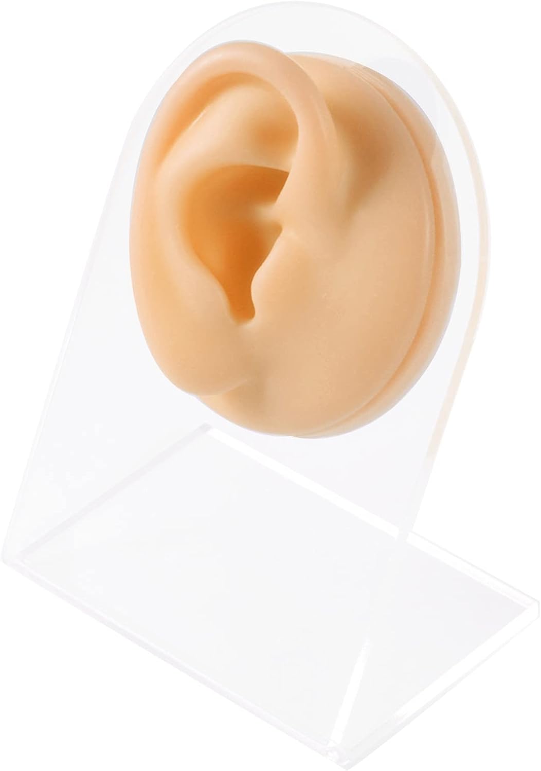 CHUANCI Soft Silicone Flexible Model Body Part Displays Set for Acupuncture Human Model Simulation Set for Jewelry Display Teaching Tool : Clothing, Shoes & Jewelry