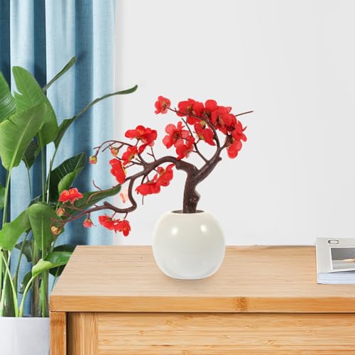 Bonsaï de chrysanthèmes d'hiver rouge en pot céramique