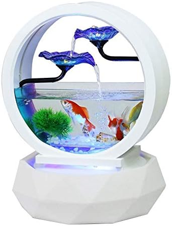 tabletop fish tank