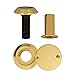 Amig - Door Viewer - Superangular Lens - Interior and Exterior Doors - Steel - Brass Varnished - Measures: 14 mm and 35-55 mm - With Certificate for Anti-Fire Doors