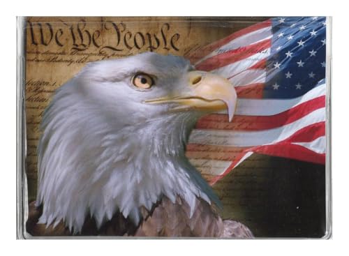 WINGS Craft & Fundraising Supply RFID Debit Credit Card Holder ATM Case, Patriotic (Eagle Flag with 2 Debit Registers)
