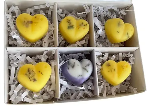 Spa Day Candleness Wax Melt - Spa Fragrance | Strong Aroma | Long Lasting | Soy Wax Hearts for Wax Warmer | Made in America | Plant Based Soy | Eco-friendly &amp; Renewable | Non-Toxic | 5 Hearts - 1.0 oz