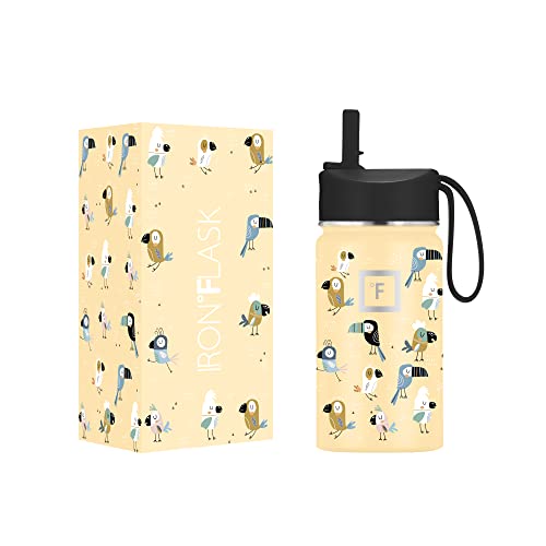 IRON °FLASK Kids Water Bottle - 14 Oz, Straw Lid,