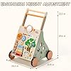 SainSmart Jr. Wooden Baby Walker, Adjustable Height and Speed Baby Push Walker, Montessori Activity Center for 6-12 Months, Push Walking Toys for 1 Year Old Boys Girls Learning to Walk, Animal Theme #1