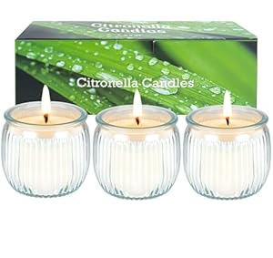 Kercamkel 3 Stücke Citronella Kerze im Glas