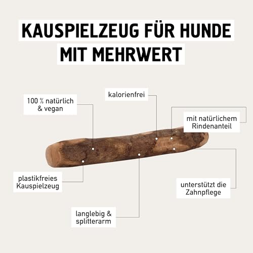 Kauies Olivenholz Kaustab für Hund mit Olivenöl - 100% natürlich, vegan & kalorienfrei - langelebiges Hunde-Spielzeug aus schadstoffgeprüftem Holz, Made in Germany, Größe M bis 20 kg (2er Pack)