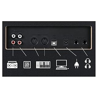 Classic Cantabile DP-230 Piano Numérique – 88 touches clavier à mécanique à marteaux – Clavier électronique avec USB… - Les Beatles, Paul McCartney, John Lennon, RIngo Starr, George Harrison Classic Cantabile DP-230 Piano Numérique - 88 touches clavier à mécanique à marteaux - Clavier électronique avec USB… – Image 7