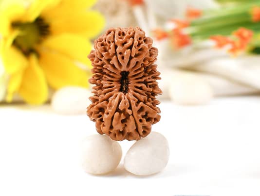 41lGlRjjy L रुद्राक्ष कि सम्पूर्ण जानकारी: भगवान शिव की अद्भुत कृपा के रहस्य का अनावरण | Rudraksha Complete Guide in Hindi : Uncovering the Mysteries of Sacred Beads