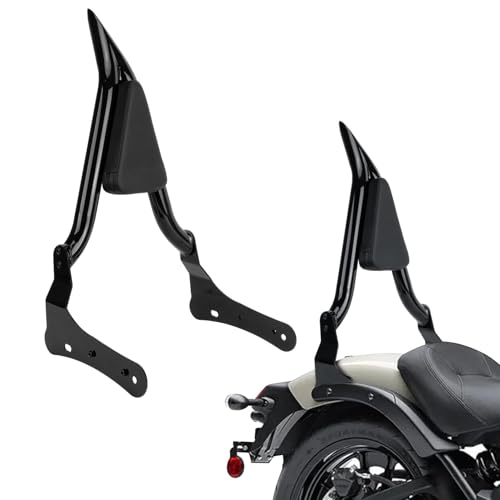 PSLER Detachable Passenger Sissy Bar
