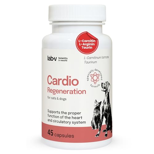 Cardio Regeneration Lab-V, 45 Kapseln, fortgeschrittene Herzunterstützung für Hunde und Katzen, tierärztliche Formel mit Taurin, L - Arginin und L - Carnitin für Hunde und Katzen, gesundes Herz Cardio Regeneration Lab-V, 45 Kapseln, fortgeschrittene Herzunterstützung für Hunde und Katzen, tierärztliche Formel mit Taurin, L - Arginin und L - Carnitin für Hunde und Katzen, gesundes Herz