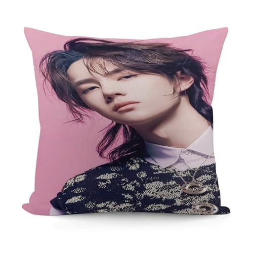 �������J�o�[ ���� �C�[�{�[ ���ꔎ 39 �\�t�@�N�b�V���� ���J�o�[ �z�[���p�i �_�炩�����ɗD���� �ыʂɂȂ�ɂ��� 18"x18"