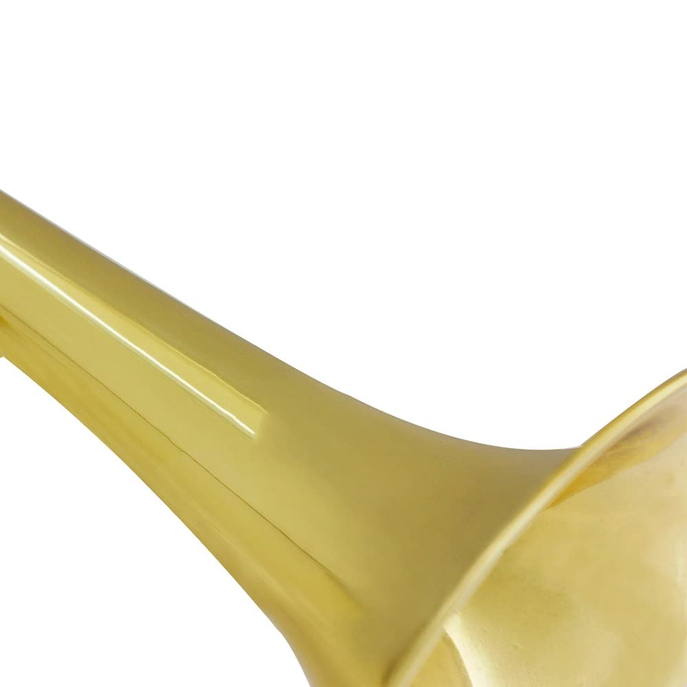 Trompeta En Si Bemol, Válvulas De Acero Inoxidable, For Principiantes E Intermedios. Incluye Estuche Rígido, Kit De Limpieza, Boquilla 7C, Paño Y Guantes.
