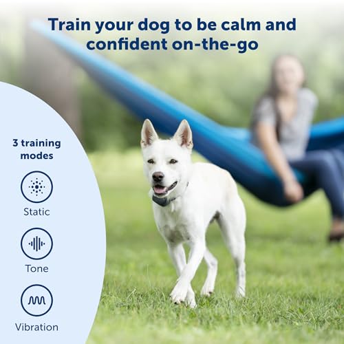 PetSafe 300 Yard Remote Training Collar – Choose from Tone, Vibration, or 15 Levels of Static Stimulation – Medium Range Option for Training Off Leash Dogs – Waterproof and Durable – Rechargeable - Image 4