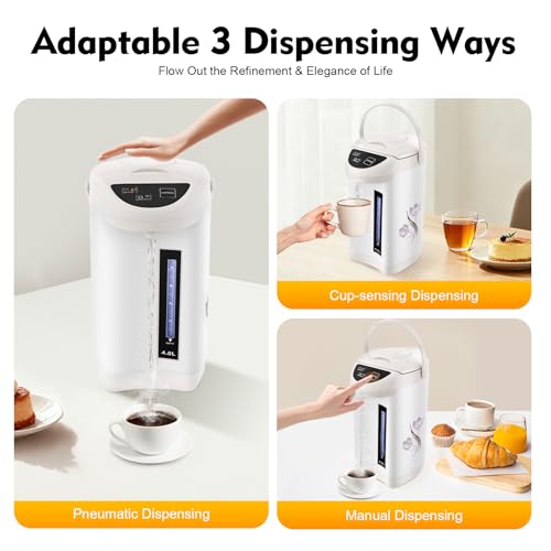 Hervidor eléctrico 4L 110V con vaso de acero inoxidable miniatura 5