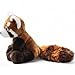 Carl Dick Peluche Red Panda, Panda Rojo Felpa Imagen de Carl Dick Peluche Red Panda, Panda Rojo Felpa